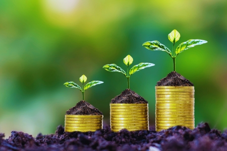 EU grants and nonprofits